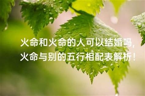 女火男土|土命和火命婚姻好吗 土和火配吗